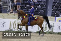 25R13_12370 thumbnail