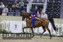 25R13_12371 thumbnail