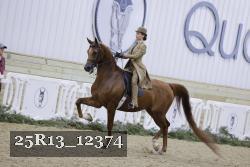 25R13_12374 thumbnail
