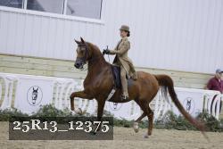 25R13_12375 thumbnail