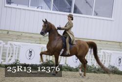 25R13_12376 thumbnail