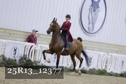 25R13_12377 thumbnail