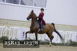25R13_12378 thumbnail