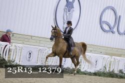 25R13_12379 thumbnail