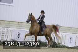 25R13_12380 thumbnail