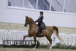25R13_12381 thumbnail