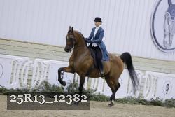 25R13_12382 thumbnail