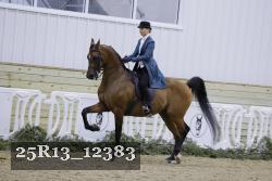 25R13_12383 thumbnail