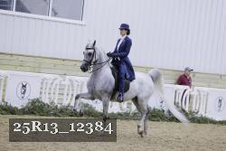 25R13_12384 thumbnail