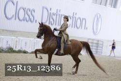 25R13_12386 thumbnail