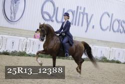 25R13_12388 thumbnail