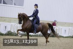 25R13_12390 thumbnail