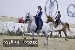 25R13_12393 thumbnail