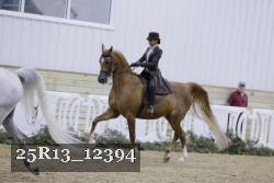 25R13_12394 thumbnail