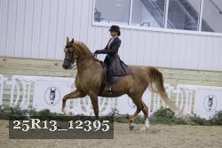 25R13_12395 thumbnail