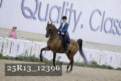 25R13_12396 thumbnail