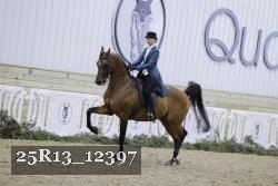 25R13_12397 thumbnail