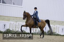 25R13_12398 thumbnail