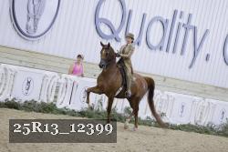 25R13_12399 thumbnail