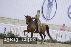 25R13_12400 thumbnail