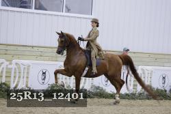 25R13_12401 thumbnail