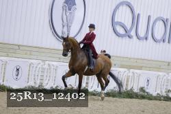 25R13_12402 thumbnail