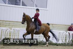 25R13_12403 thumbnail