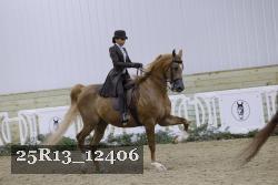 25R13_12406 thumbnail