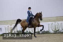 25R13_12407 thumbnail