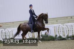 25R13_12410 thumbnail