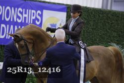 25R13_12416 thumbnail