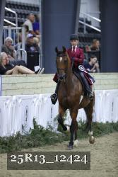 25R13_12424 thumbnail
