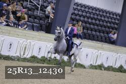 25R13_12430 thumbnail