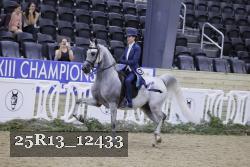 25R13_12433 thumbnail