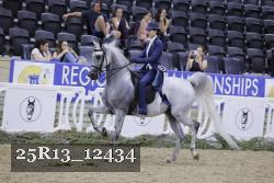 25R13_12434 thumbnail