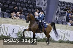 25R13_12435 thumbnail