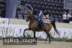 25R13_12436 thumbnail