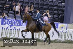 25R13_12437 thumbnail