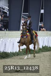 25R13_12438 thumbnail