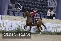 25R13_12439 thumbnail