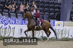 25R13_12442 thumbnail