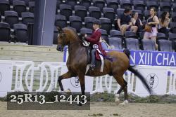25R13_12443 thumbnail