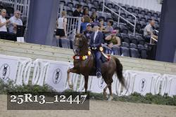 25R13_12447 thumbnail