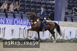 25R13_12450 thumbnail