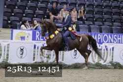 25R13_12451 thumbnail