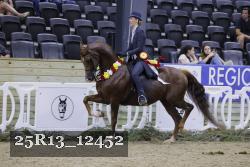 25R13_12452 thumbnail