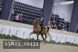 25R13_12454 thumbnail