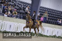 25R13_12455 thumbnail