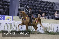 25R13_12457 thumbnail