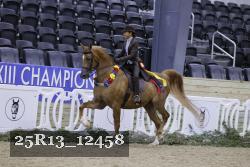 25R13_12458 thumbnail